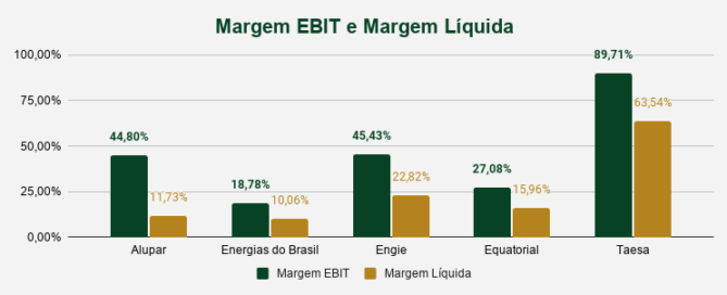 Margem Ebit E Margem Líquida Conexão Freelancer 4317